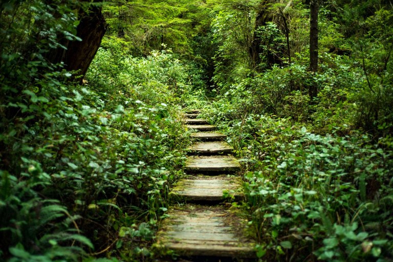 37325352281_29224b2d0c_k.jpg 37325352281_29224b2d0c_k.jpg