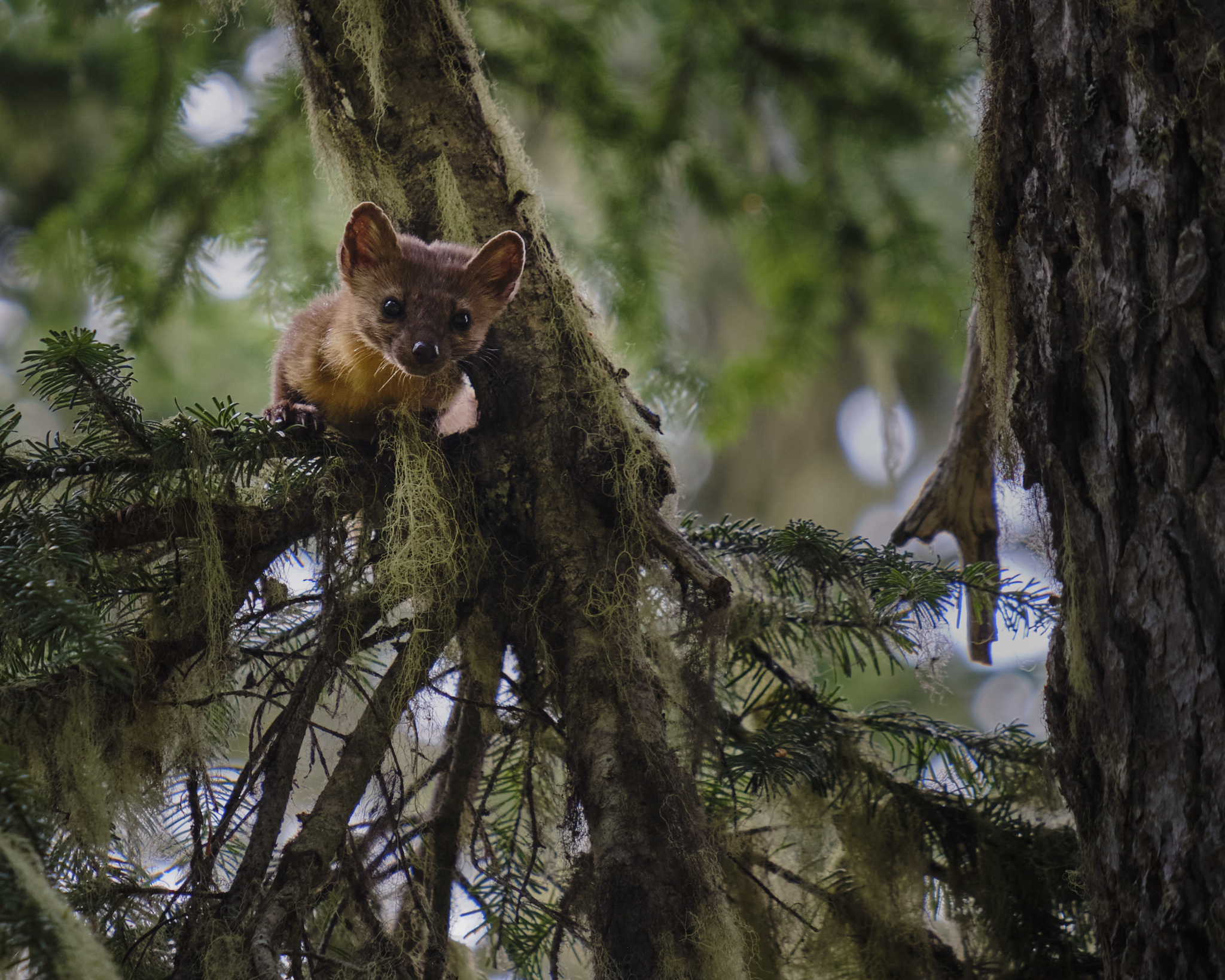 Photo by David Willecke Photo by David Willecke
