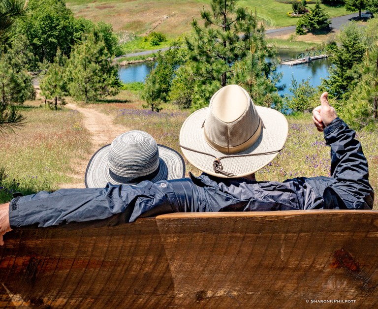 43230403185_29204de9f2_k.jpg 43230403185_29204de9f2_k.jpg