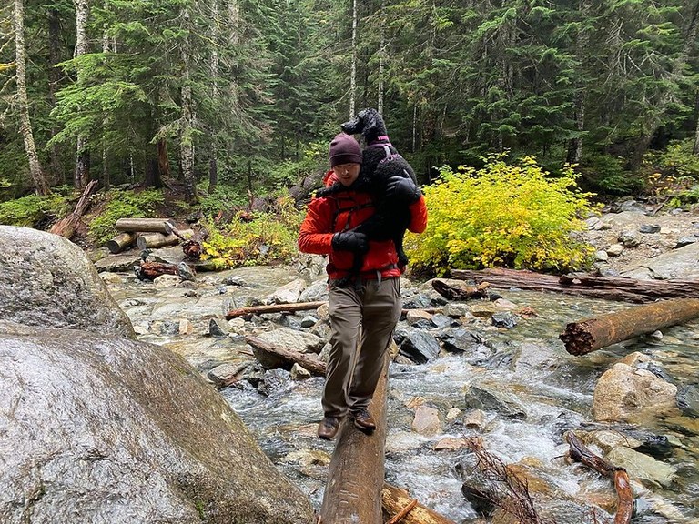 Sophie being carried by her human across a log bridge over a river.