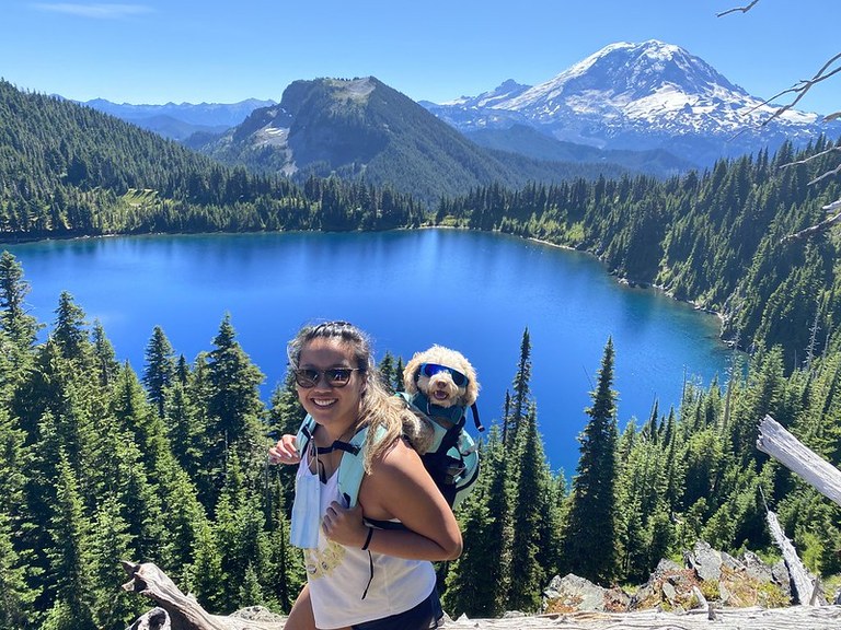 Noodle the dog in a backpack