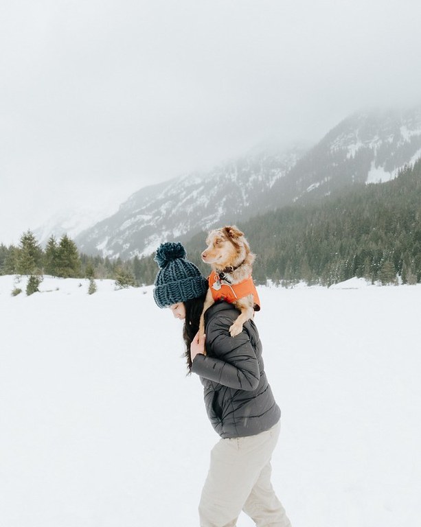 Pup hitching a ride at Gold Creek