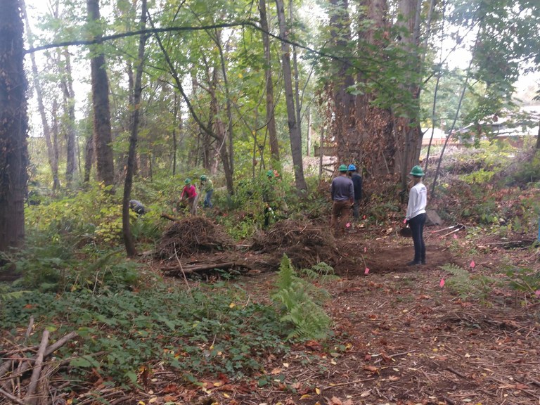 WTA trail work begins in Glendale Forest. Photo by David Kimmett (King County Parks)