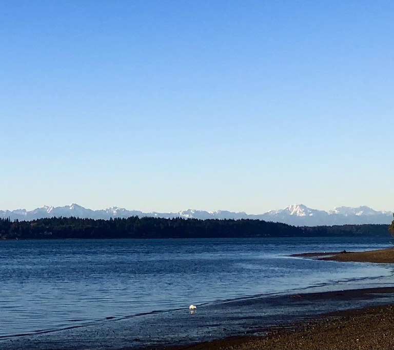 Priest Point by lulupella Snowy Olympic mountains behind Puget Sound water