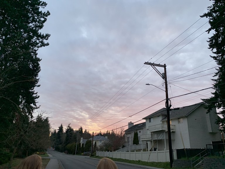 6b703ad3-4463-45c2-836e-f203ff46a8bd.jpeg 6b703ad3-4463-45c2-836e-f203ff46a8bd.jpeg