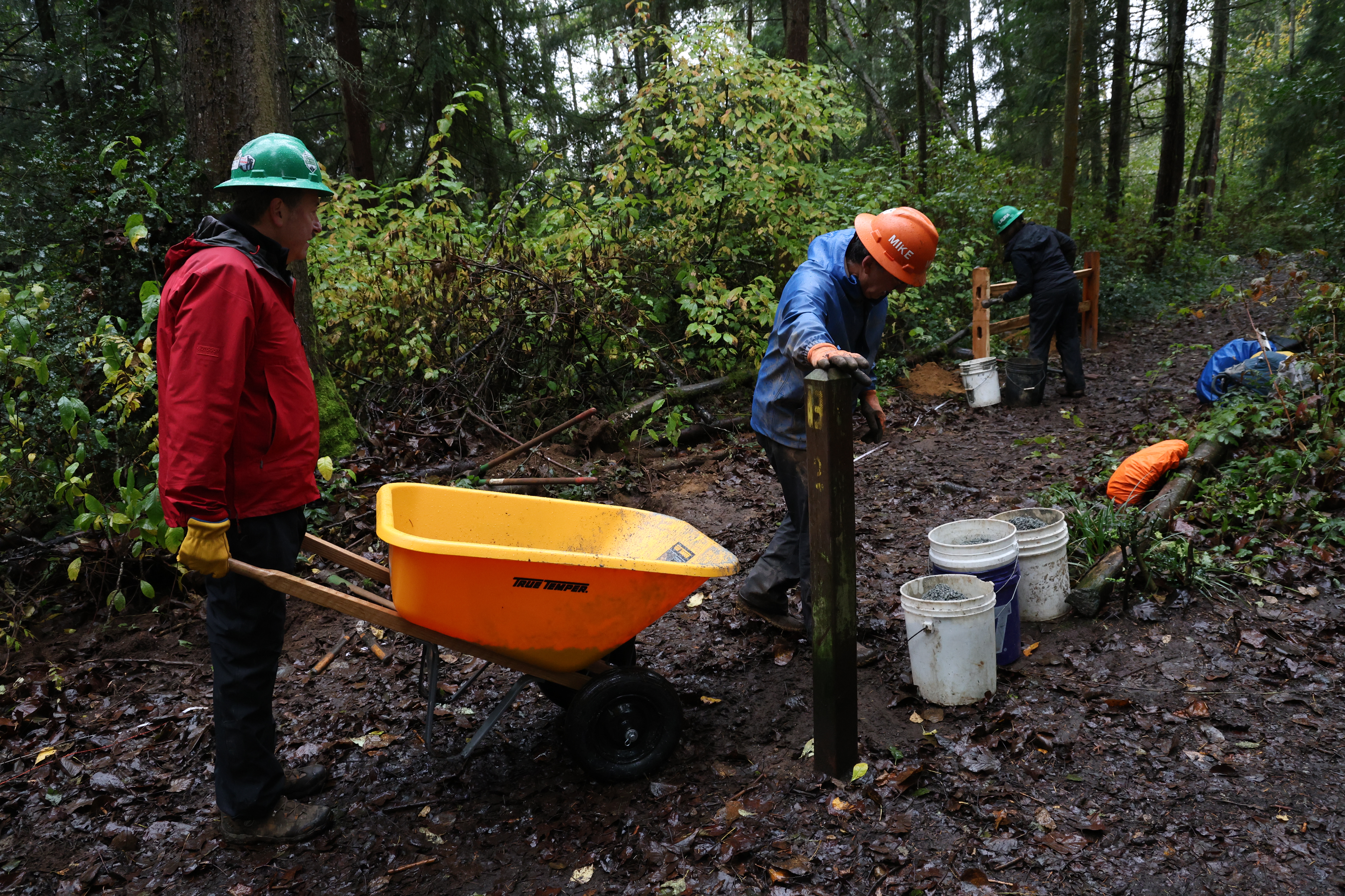 Man in red jacket and green hard hat carries yellow wheel barrel to teams working on fencing. Grey weather on a well established trail within vibrate green forest. 