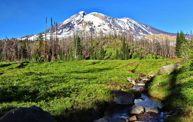 A view of the west face of Mount Adams from the Bumper, the trailhead for which is accessed by Forest Road 23. Photo by Elemental Fluttershy.