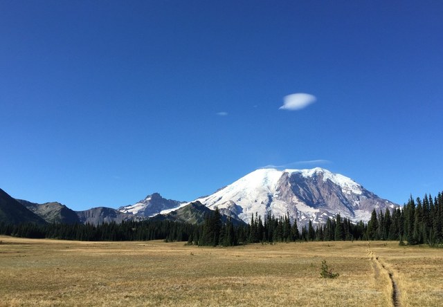 Rainier from Grand Park. Photo by Steve Payne.