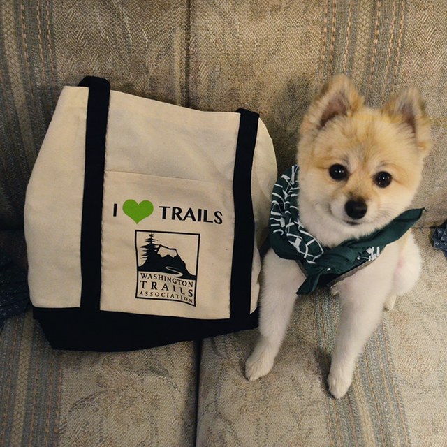 Pipsqueak is a fan of WTA! Photo courtesy of Laura Baron.