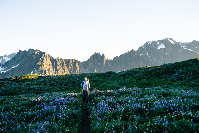 SahaleArmTrail.PhotobySammyDavis.jpg SahaleArmTrail.PhotobySammyDavis.jpg