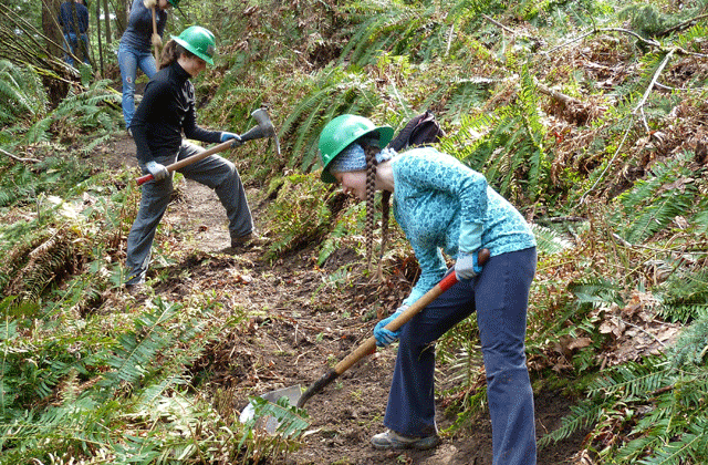 Volunteers tackle trails at Sehome Arboretum. Photo by Lezlie Cox. 