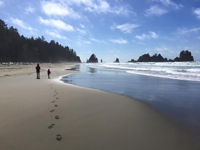 Shi Shi Beach by Kevin Hall