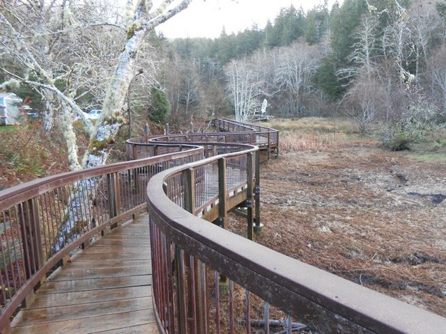 The boardwalk at the beginning of the Art Walk near Willapa Bay. Photo by Anna Roth.