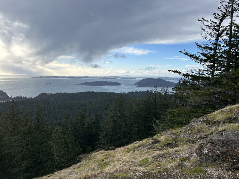 A grassy hillside, followed by a forest sits in the foreground. In the background are a series of islands in the Salish Sea.