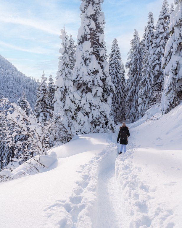 Photo by Andy Stokes A hiker treks through a winter landscape. Trees are draped in snow, and snowdrifts to the side of the trail go as high as the hiker's knees.