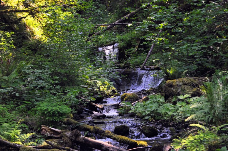 Angel Falls Loop. Photo by SeanoftheWild. Cascading falls on the Angel Falls Loop. Photo by SeanoftheWild.