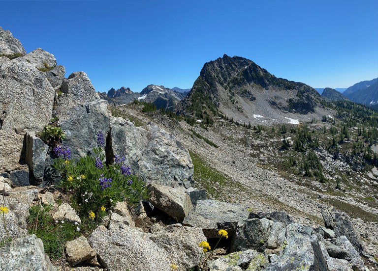 Photo by Austin Smith. austin smith.jpg