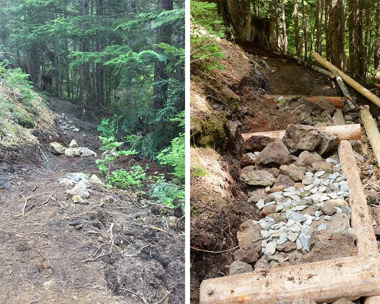 before-and-after-frog-mountain_nate-schmidt-and-anna-roth.jpg