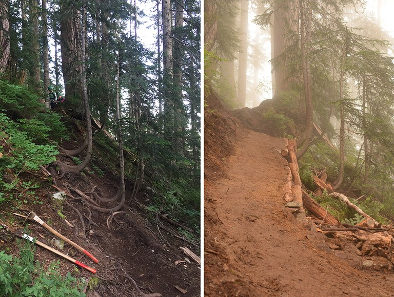 before_after_smaller.jpg before_after_smaller.jpg