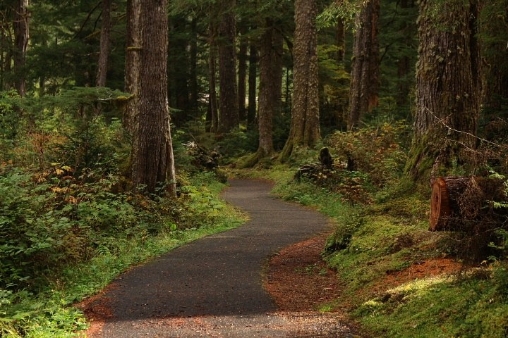 Big Four Ice Caves by Alyssia Coty