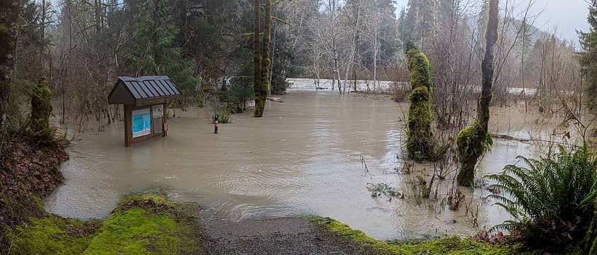 Floodwaters cover a trail and part of a trailhead sign. 