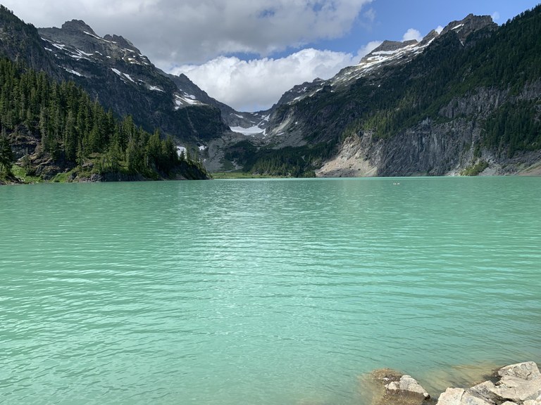 blanca JTreeRC.jpeg blanca JTreeRC.jpeg