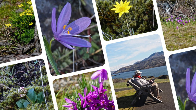 Capturing photos of trails isn't just great for sharing info with other hikers — it's a way to chronicle your journeys. Photos by Bob and Barb A collage of hiking images including a hiker and wildflowers.