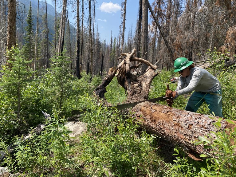 WTA's pro crew saws out a log from the Cathedral Lakes Loop