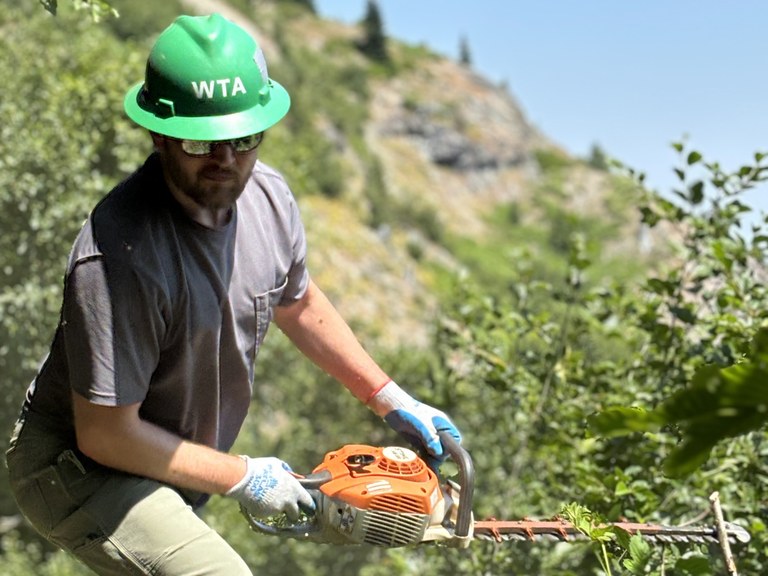 brushing with mechanized thing.jpg brushing with mechanized thing.jpg