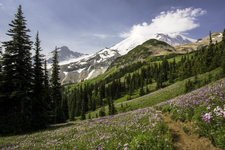 Burroughs Mountain Trail Mount Rainier National Park  Burroughs Mountain Trail Mount Rainier National Park