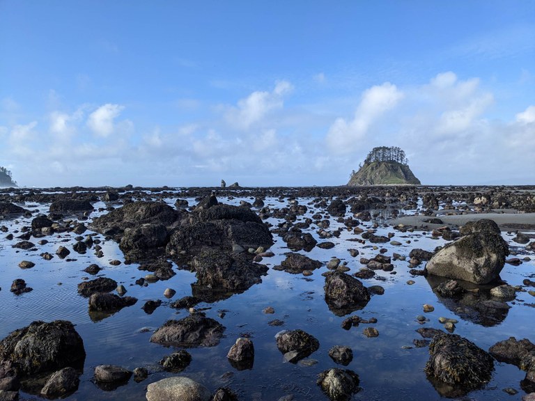 View of the ocean from Cape Alava. Photo by Tiffany Chou. View of the ocean from Cape Alava. Photo by Tiffany Chou.