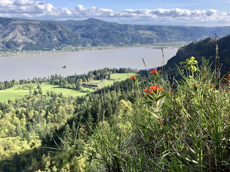 Cape Horn.jpeg