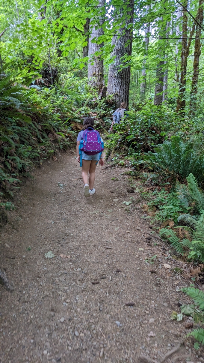 Capitol State Forest - Mima Falls Loop. Photo by vdouglas. Two children hike along the Mima Falls Trail in Capitol State Forest. Photo by vdouglas.