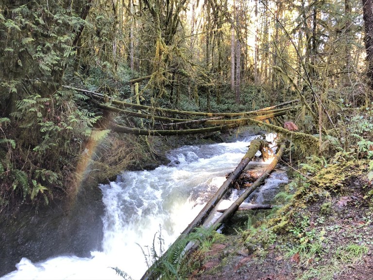 Porter Creek Falls with a small rainbow. Photo by Godziraaa. 