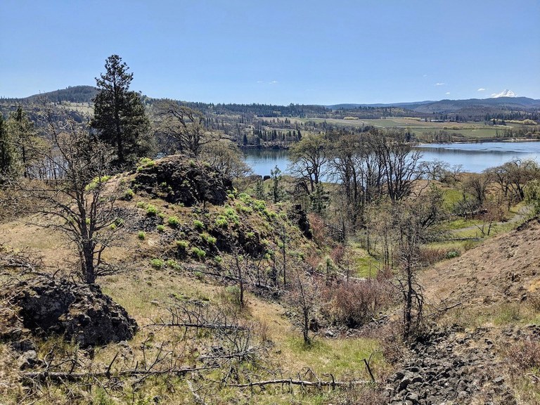Catherine Creek A view over the Gorge from the Catherine Creek trail