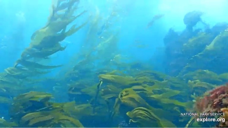 Channel Islands National Park Service webcam Channel Islands National Park Service webcam