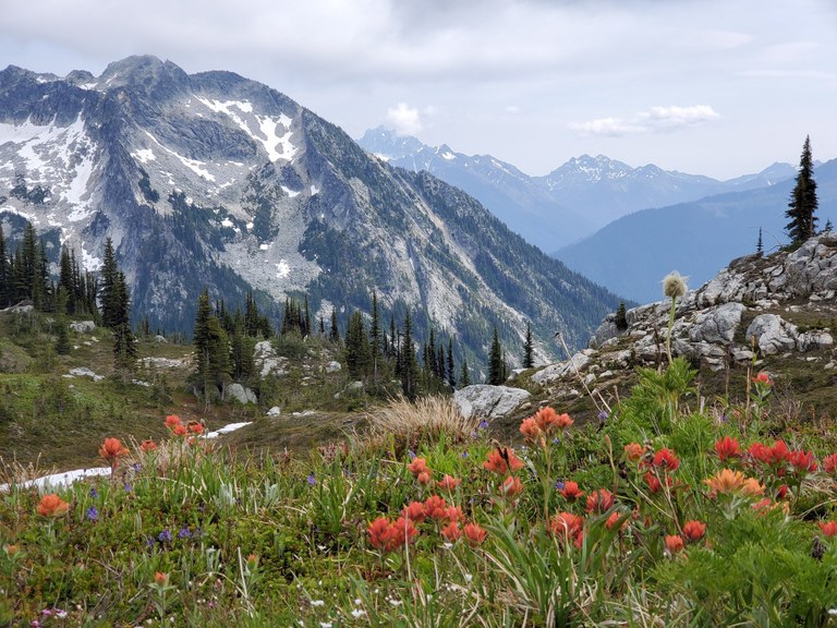 Chatter Creek, Icicle Ridge.jpeg