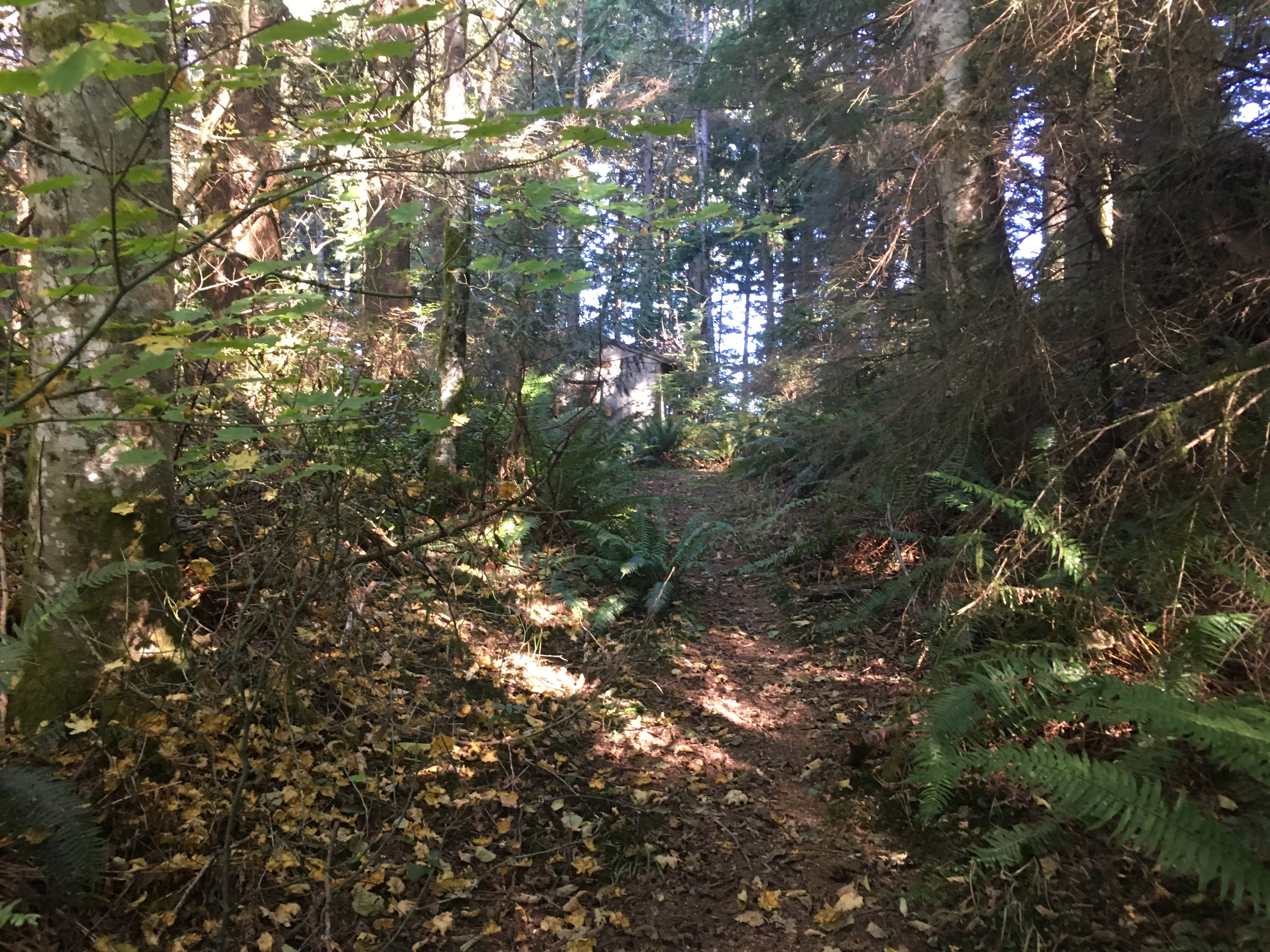 Chybinski Loop Photo by clopez.JPG