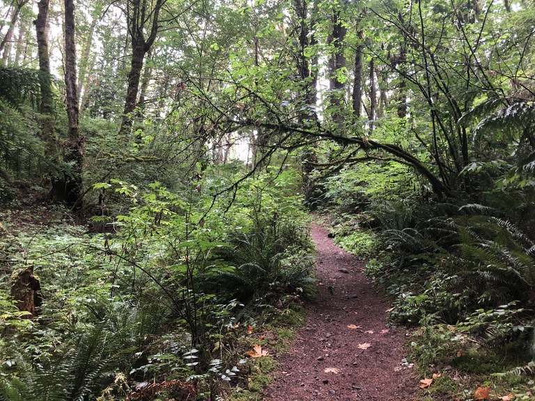 clark-johndinh.jpeg clark-johndinh.jpeg