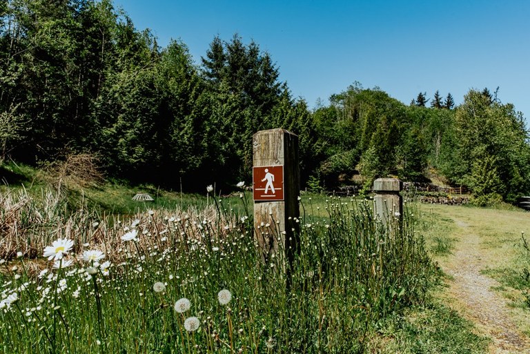 close.jpeg close.jpeg