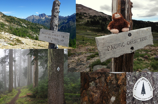 The PCT covers lots of different ground as it traverses Washington State. Photos courtesy Gwen Tollefson, Cody Sherrodd, David Clumpner, Elizabeth Seitzinger, and Rick O'Brien.