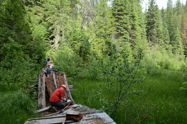 The WTA crew removed the damaged 90-foot bridge through the wetlands in summer of 2016. The future trail will circle around the delicate area. Photo by Loren Drummond.