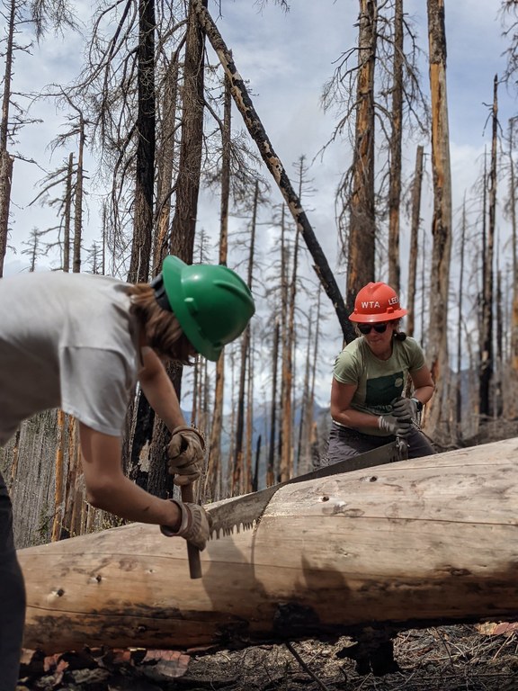 Crosscutting at Cow Creek in the Entiat.