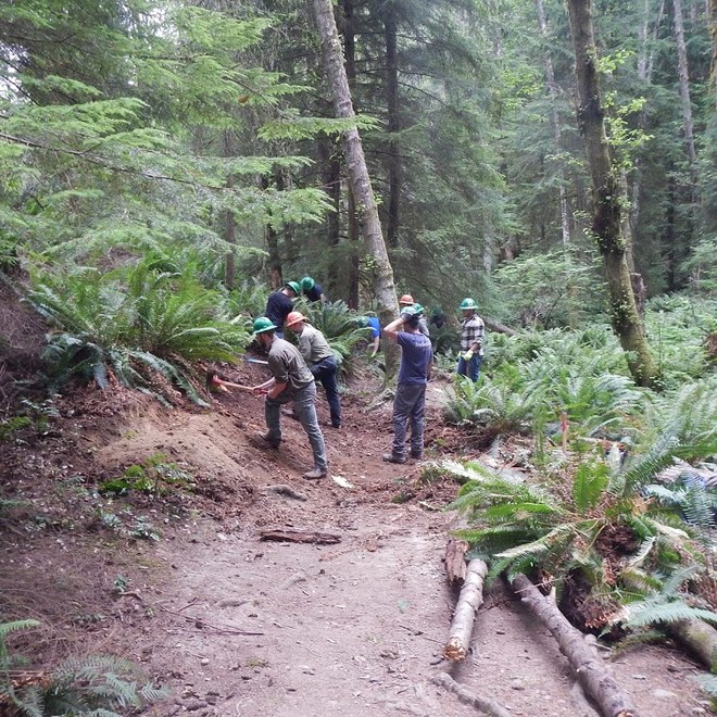 A volunteer trail crew works on the trail at Oyster Dome. Photo by Arlen Bogaards.