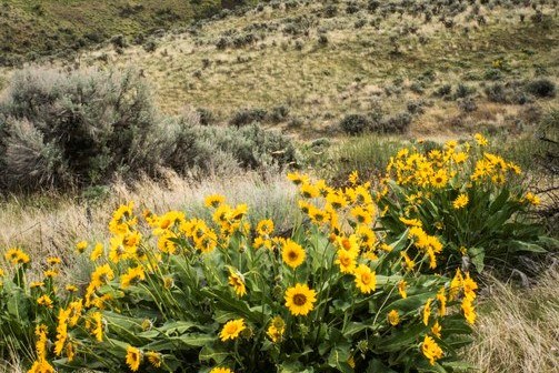 David Hagen.jpeg David Hagen.jpeg