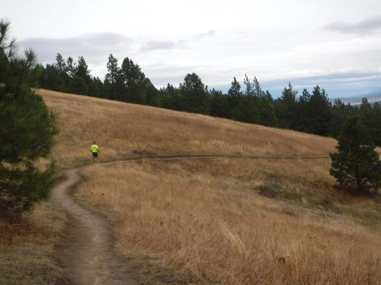 Dishman Hills Conservation Area A jogger runs along the trail at Dishman Hills