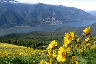 Dog mountain permits available now