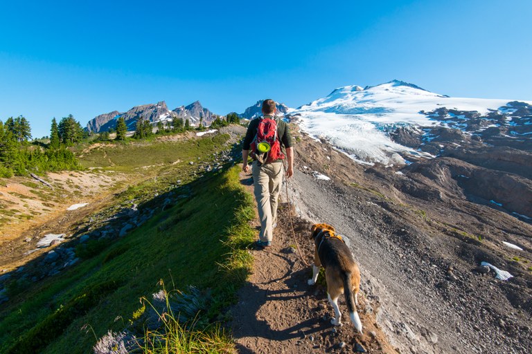 Dog on Railroad Grade. Photo by Jason Heritage. dog railroad grade Jason Heritage.jpg