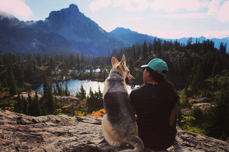 dog Teddy Wingo.jpg dog Teddy Wingo.jpg