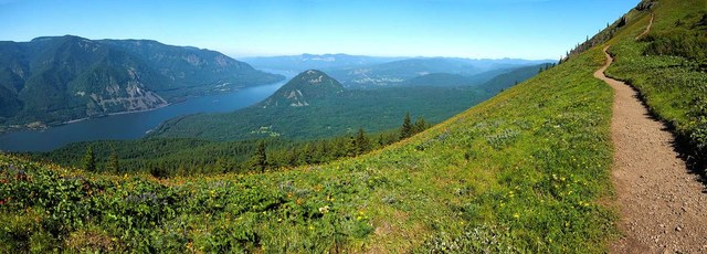 Descending the back side of Dog Mountain on the Auspurger Trail. Photo by 1943Mike